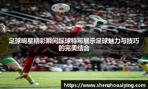 乐动LDSports官网