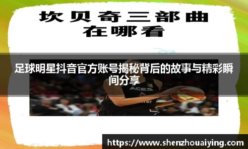 乐动LDSports官网